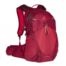 Gregory MAYA 20 PLUS - Tagesrucksack