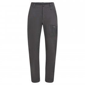 Icebreaker W MERINO BLEND ELEVATION STRETCH PANTS Damen - Trekkinghose