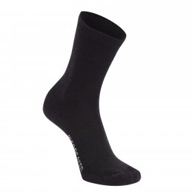 Icebreaker W MERINO LIFESTYLE_LIGHT CREW Damen - Wandersocken
