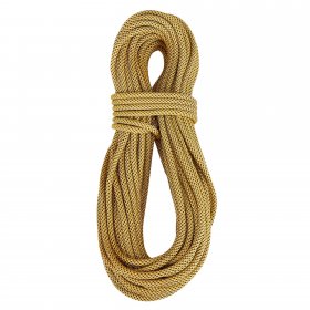 Edelrid SE GLOBETROTTER 9,8MM - Kletterseil