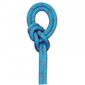 Mammut 9.8 CRAG CLASSIC ROPE 50M - Kletterseil