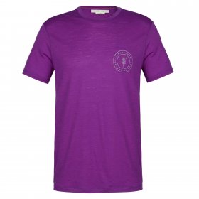 Icebreaker M MERINO 150 TECH LITE SS TEE HIKE NATURALL Herren - Funktionsshirt