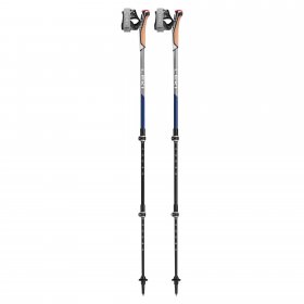 Leki TRAVELLER CARBON - Nordic Walking Stöcke