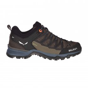 Salewa WS MTN TRAINER LITE GTX Damen - Zustiegsschuhe