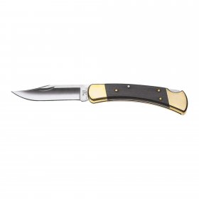 Buck FOLDING HUNTER 110 ETUI - Klappmesser