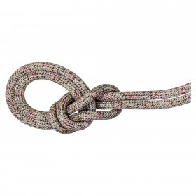 Mammut 9.5 CRAG WE CARE CLASSIC ROPE 60M - Kletterseil
