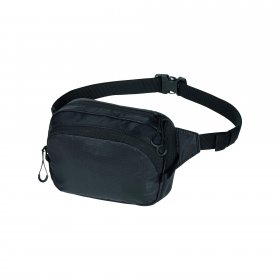 Jack Wolfskin WANDERMOOD HIPBAG - Hüfttasche