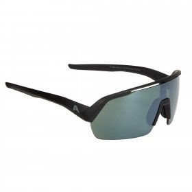 Alpina TURBO HR Q-LITE - Sportbrille