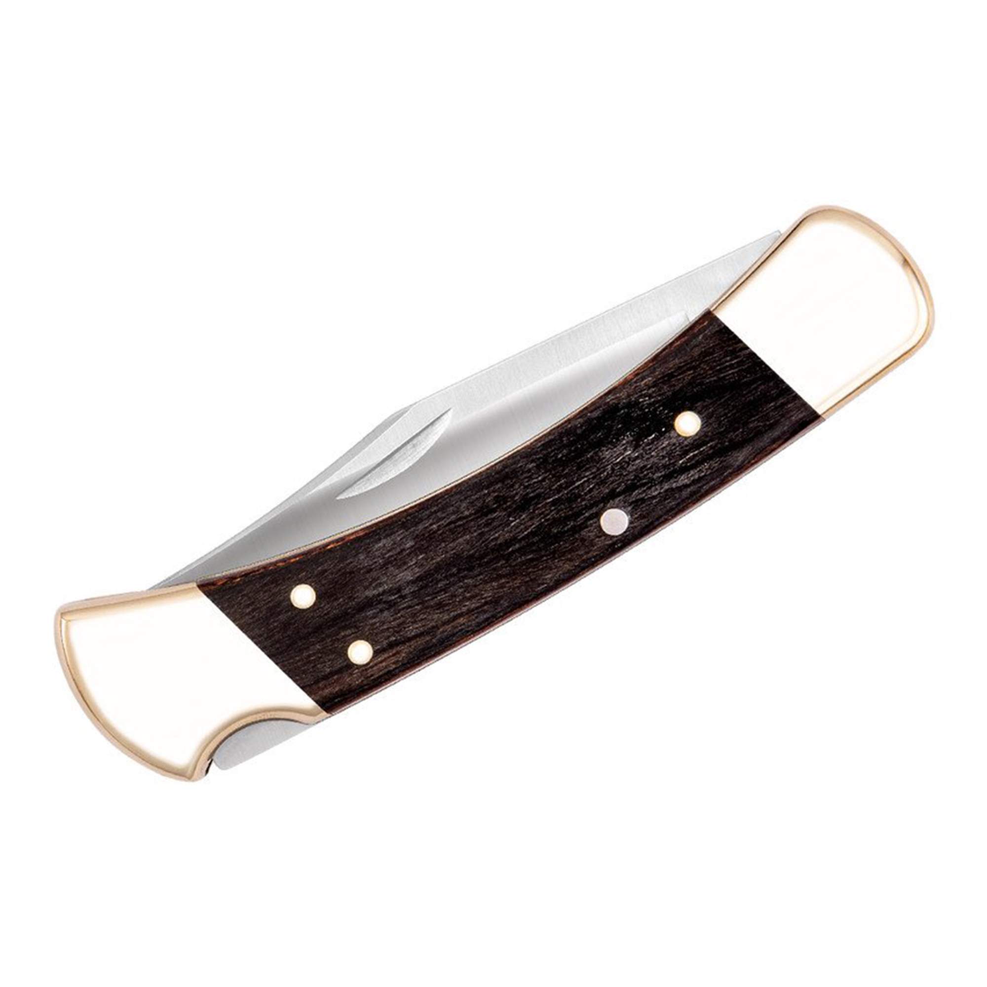 Buck FOLDING HUNTER 110 ETUI - Klappmesser