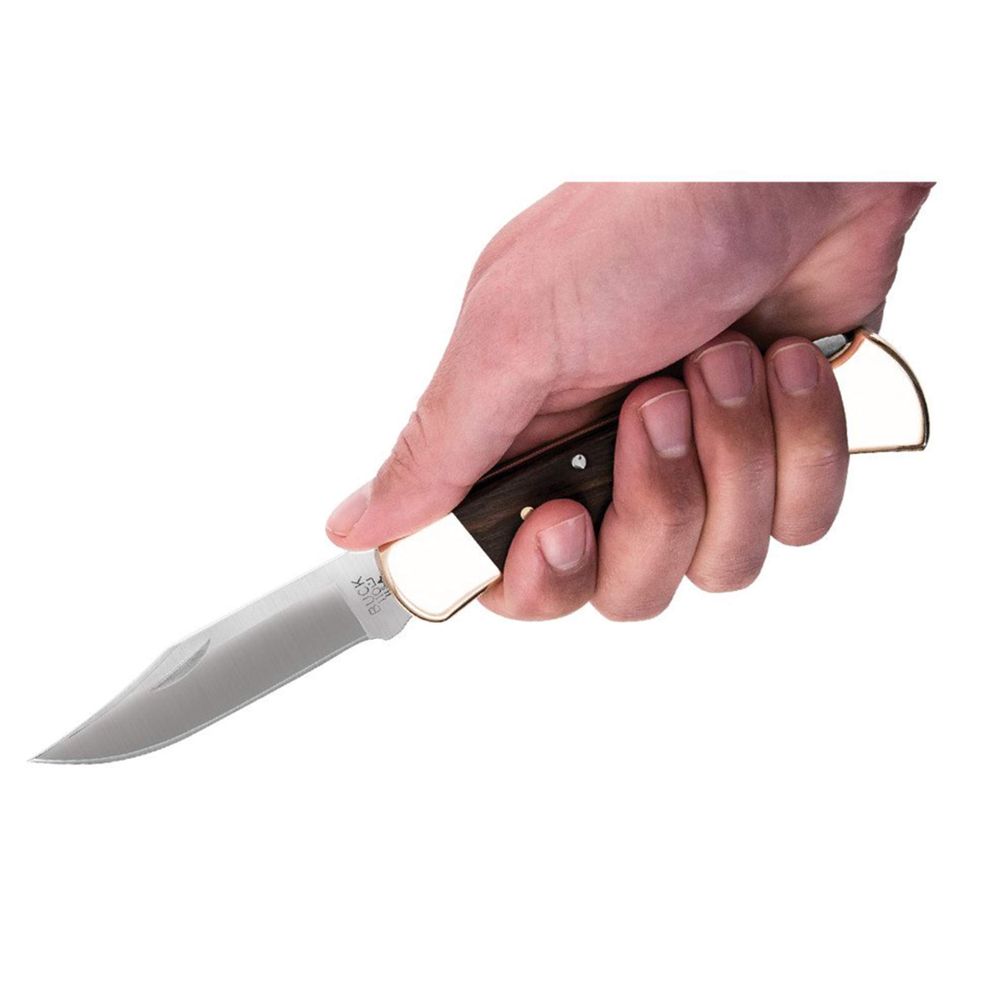 Buck FOLDING HUNTER 110 ETUI - Klappmesser