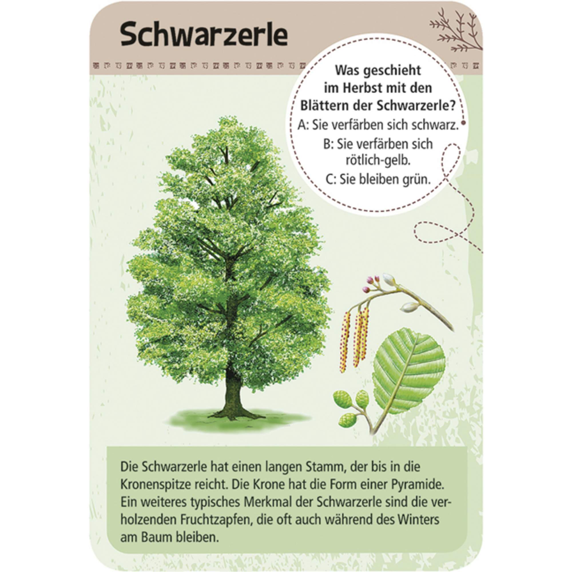 Moses Verlag EXPEDITION NATUR 50 HEIMISCHE BÄUME - Reisespiel