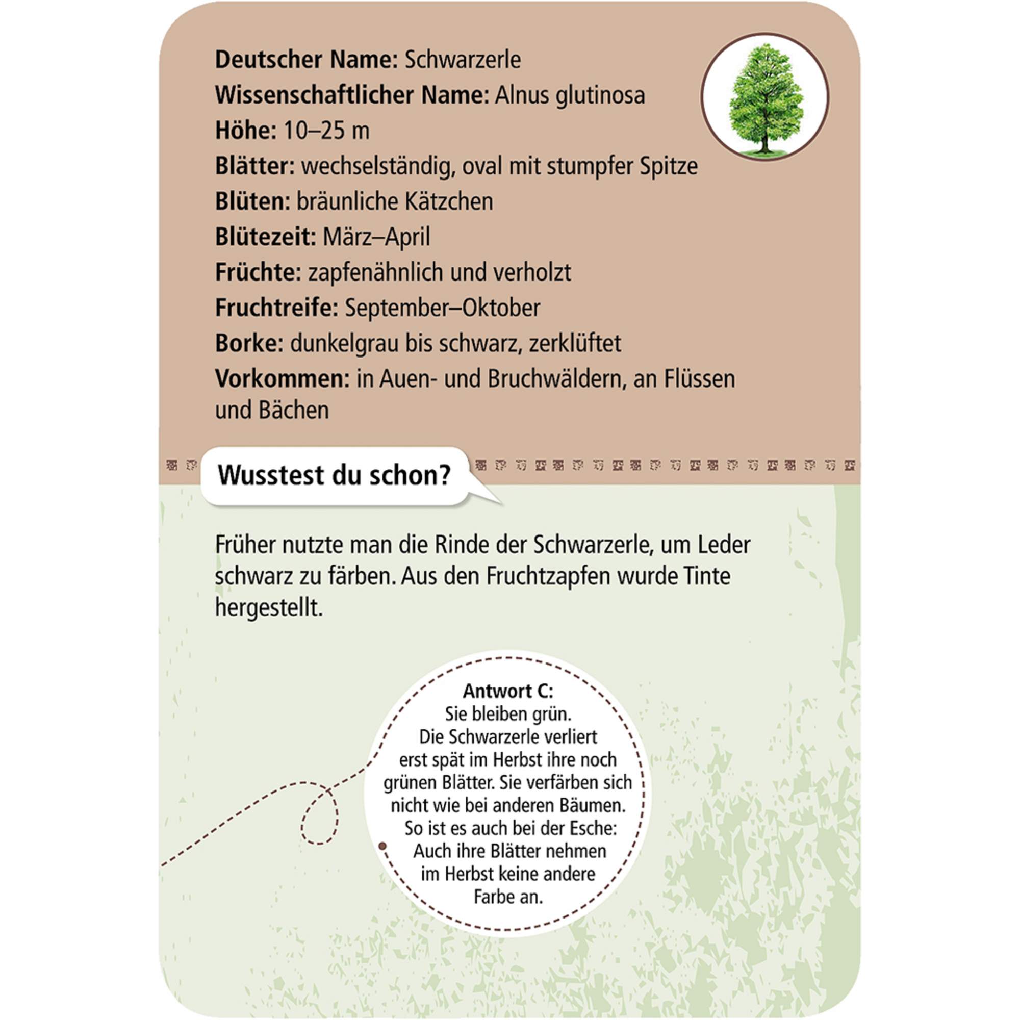 Moses Verlag EXPEDITION NATUR 50 HEIMISCHE BÄUME - Reisespiel