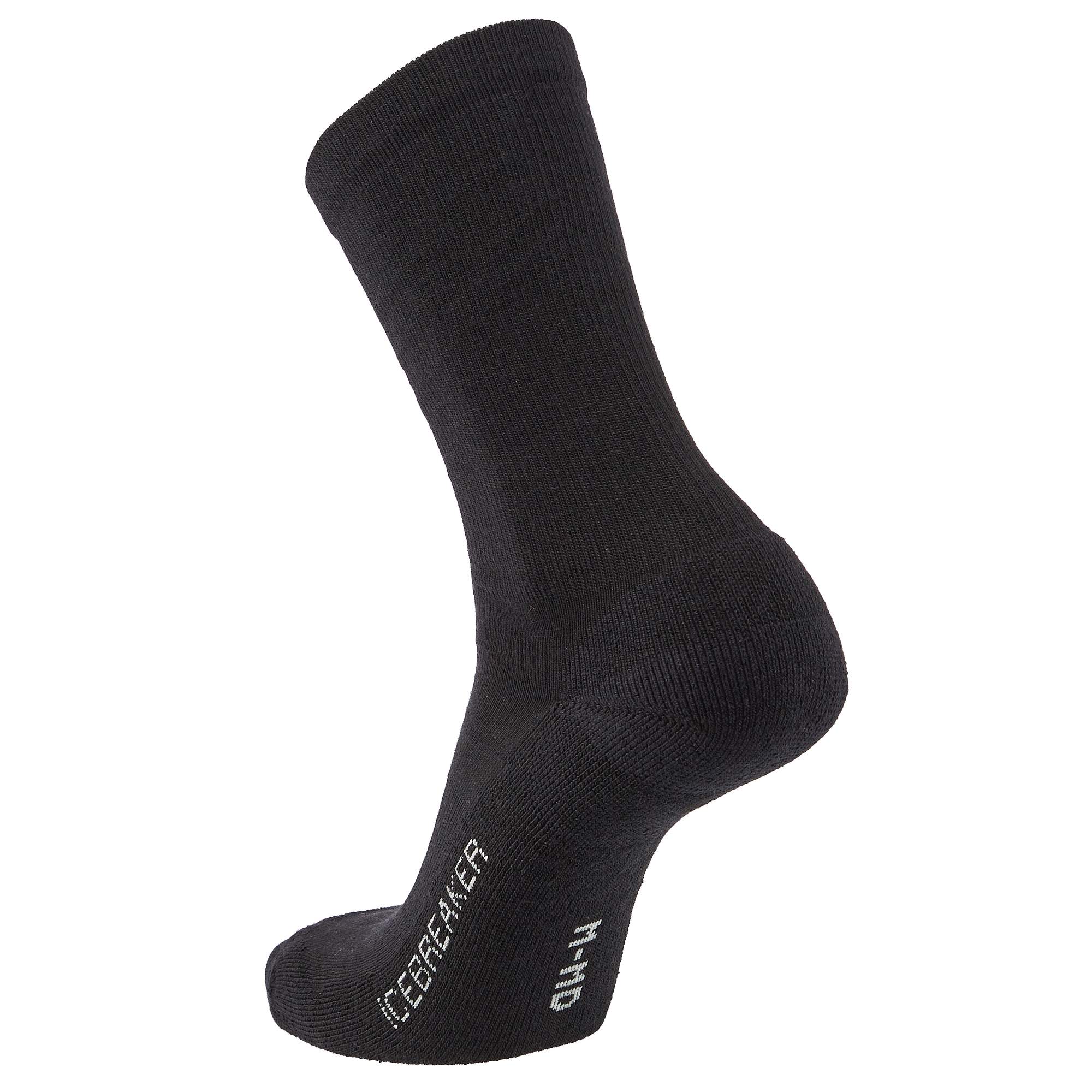 Icebreaker M MERINO LIFESTYLE_LIGHT CREW Herren - Wandersocken