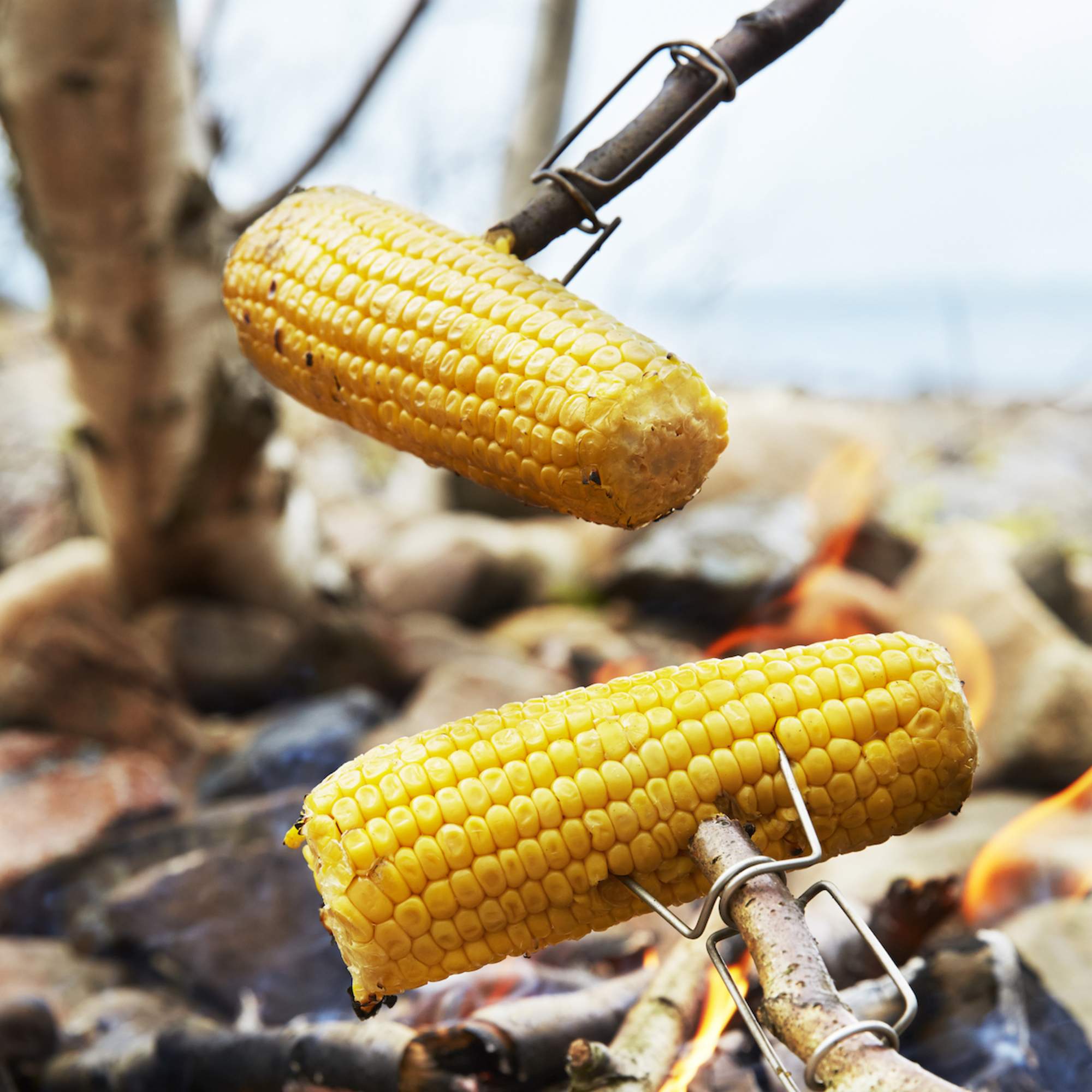 Light My Fire GR.P FIREFORK BIO 2-PACK