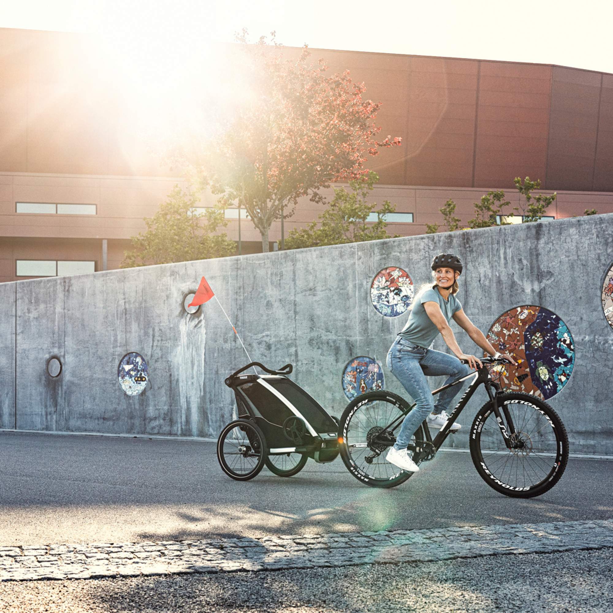 Thule CHARIOT LITE2 - Fahrradanhänger