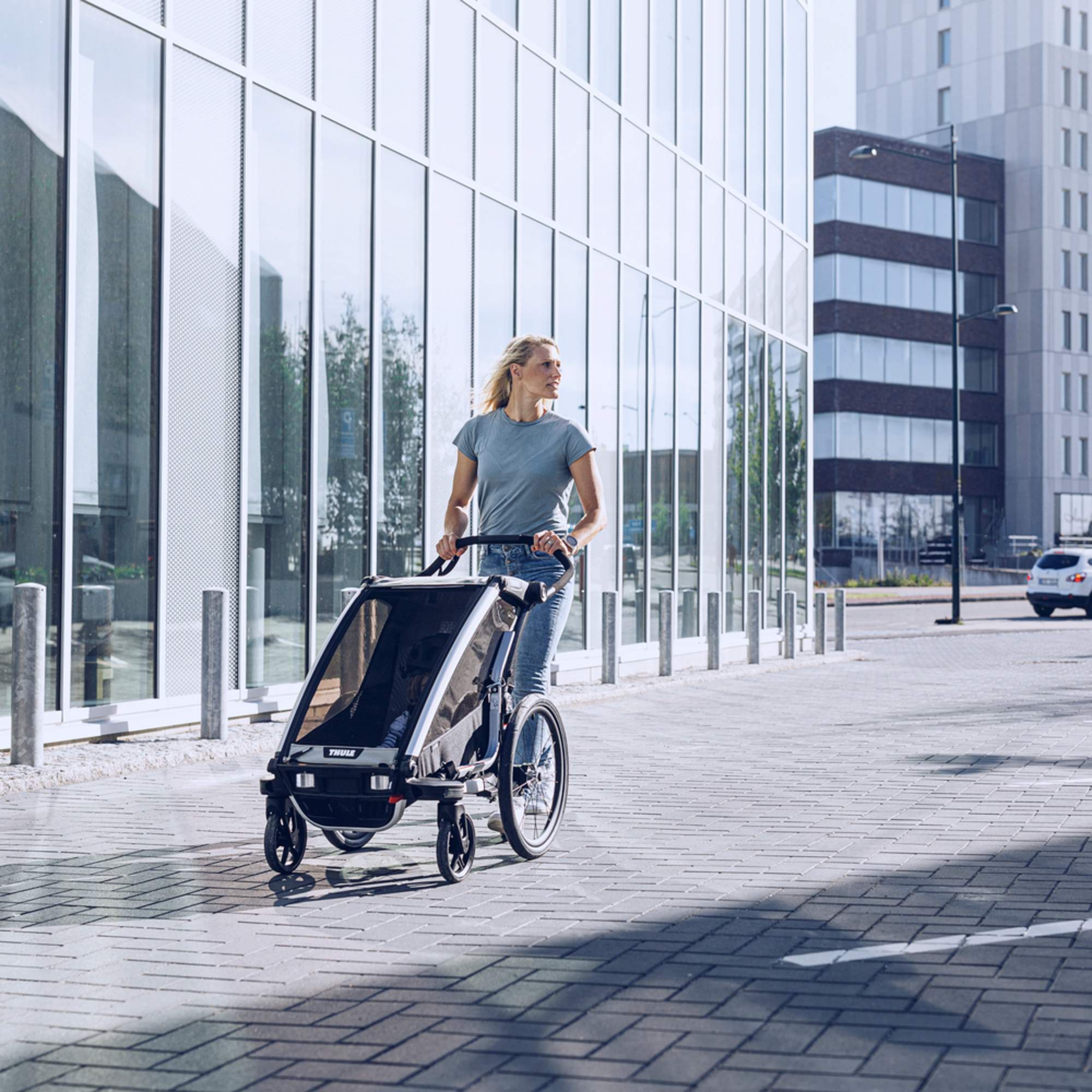 Thule CHARIOT LITE2 - Fahrradanhänger