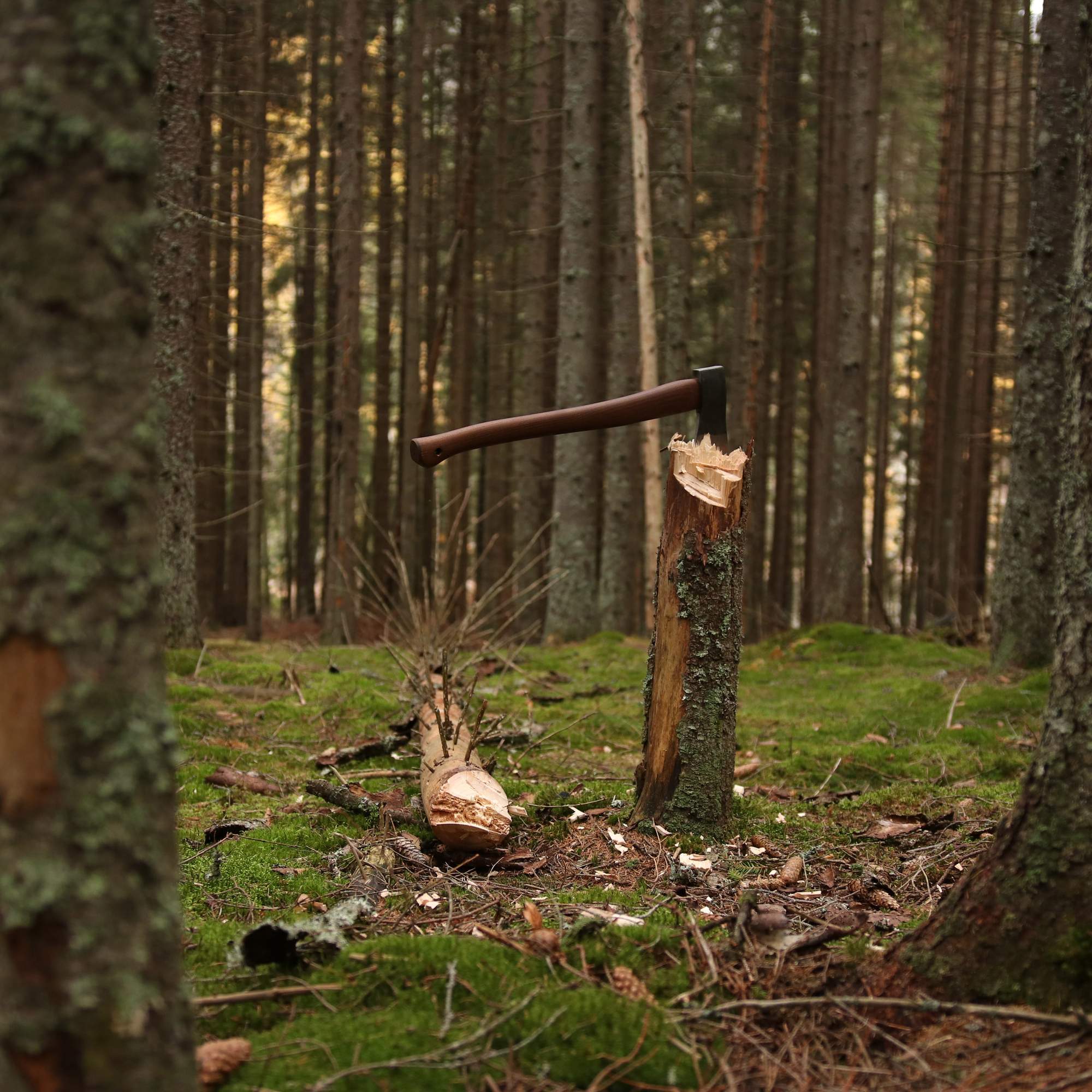 ØYO FOREST AXE - Axt ØYO FOREST AXE - Axt