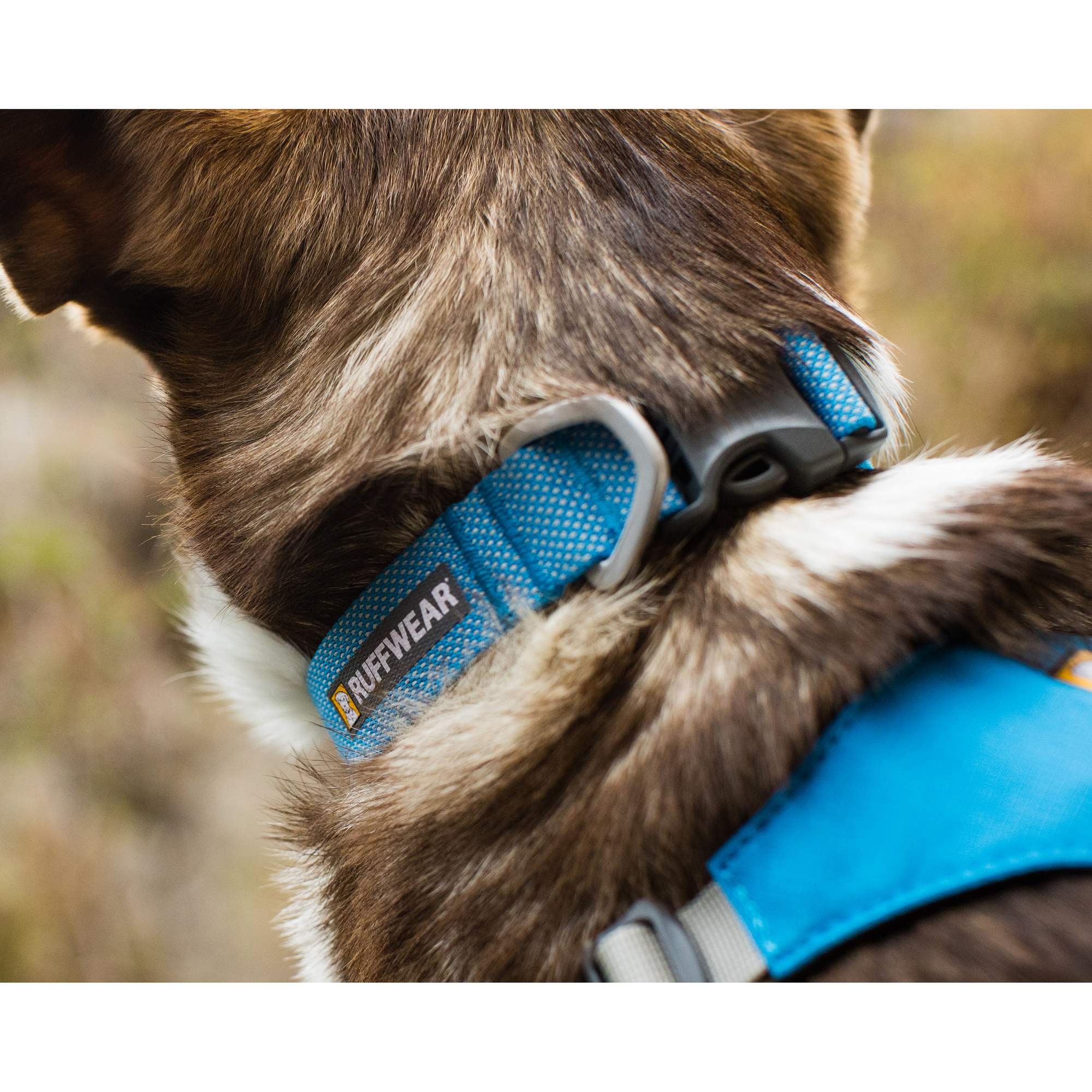 Ruffwear HI & LIGHT COLLAR - Hundezubehör Ruffwear HI & LIGHT COLLAR - Hundezubehör
