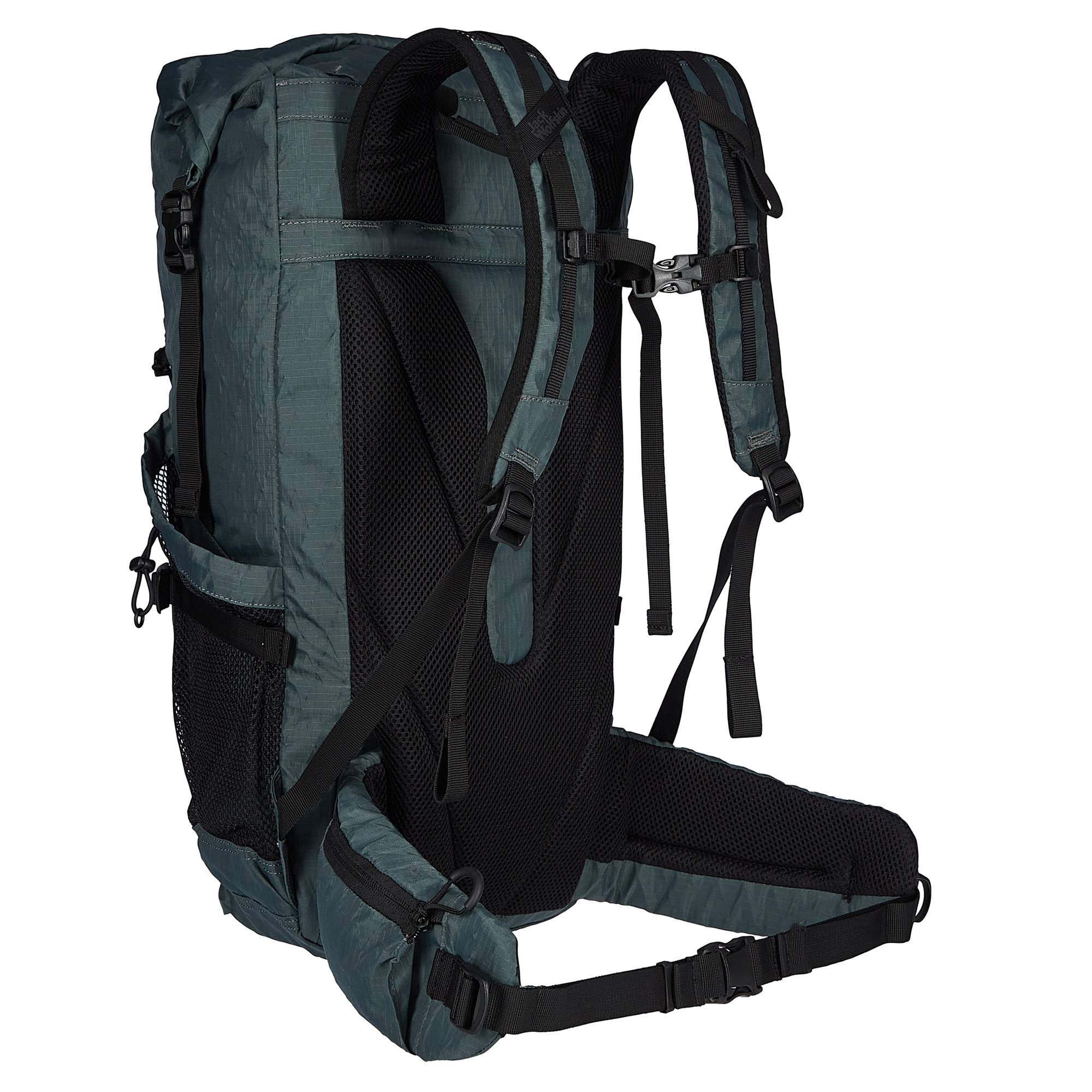 Jack Wolfskin WANDERMOOD ROLLTOP 30 - Tagesrucksack