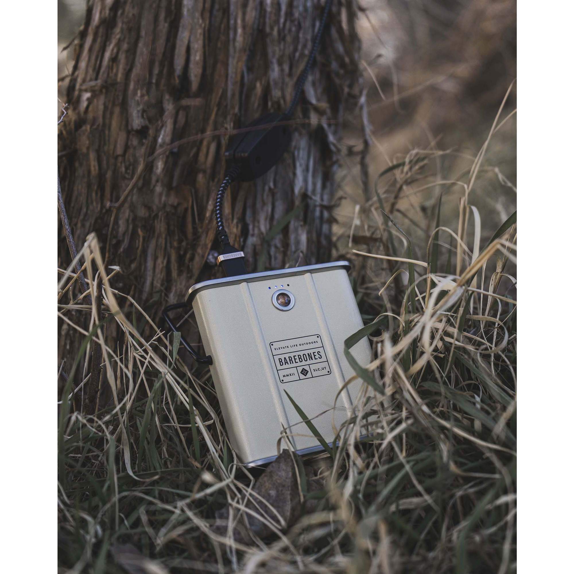 Barebones POWERBANK 10.000 MAH - Powerbank