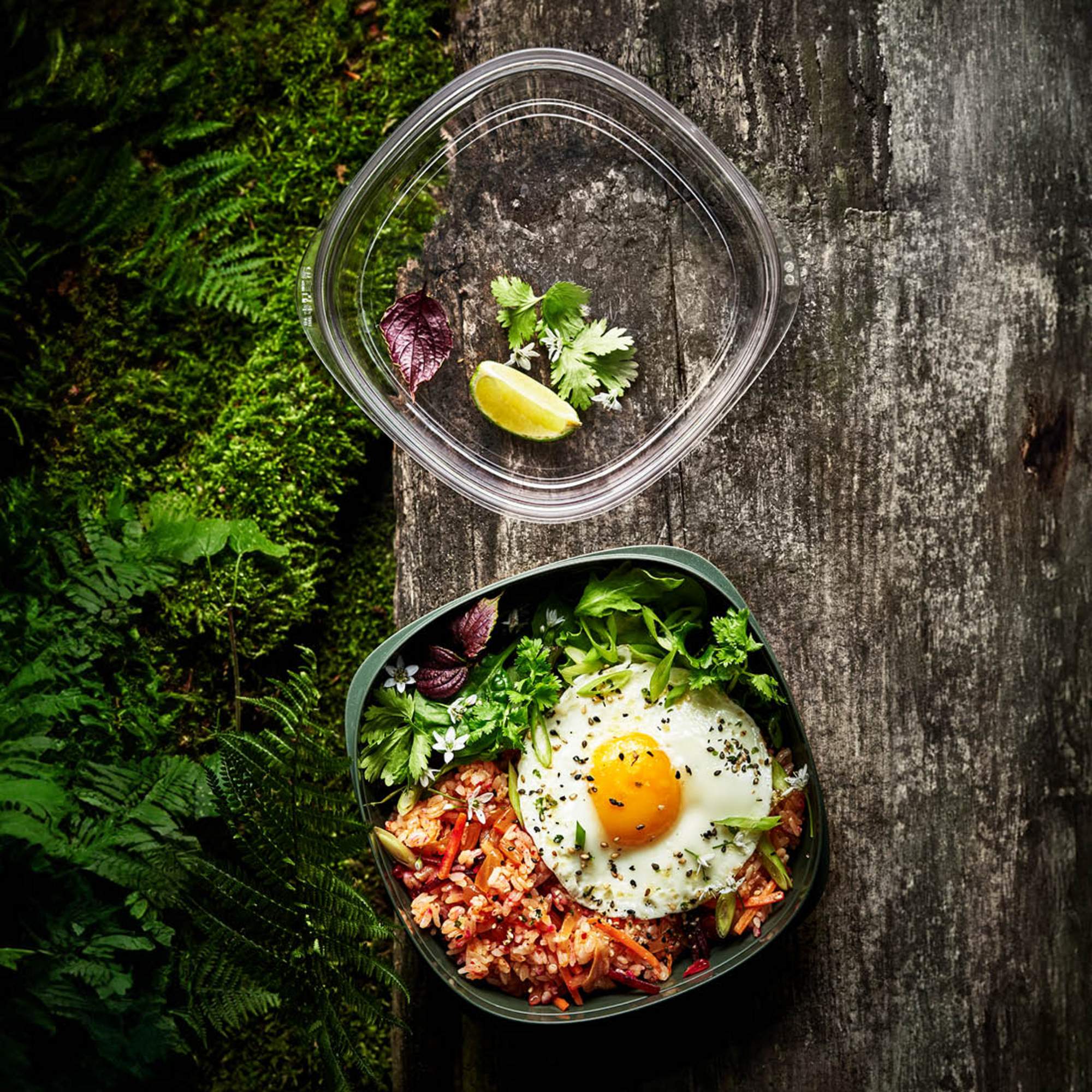 Light My Fire MYBOX, BULK - Essensbox