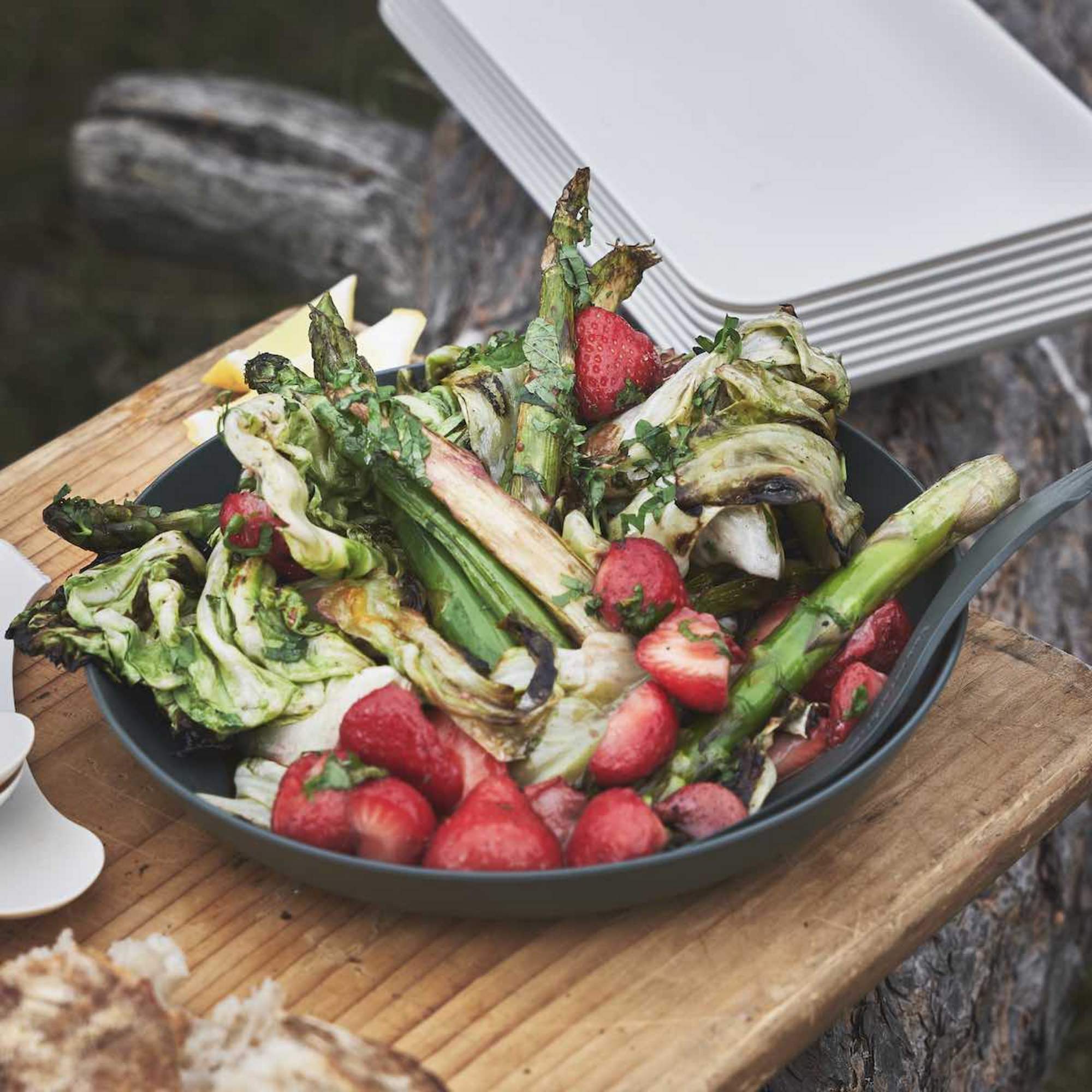 Light My Fire RAMENPLATE 4-PACK - Campinggeschirr Light My Fire RAMENPLATE 4-PACK - Campinggeschirr