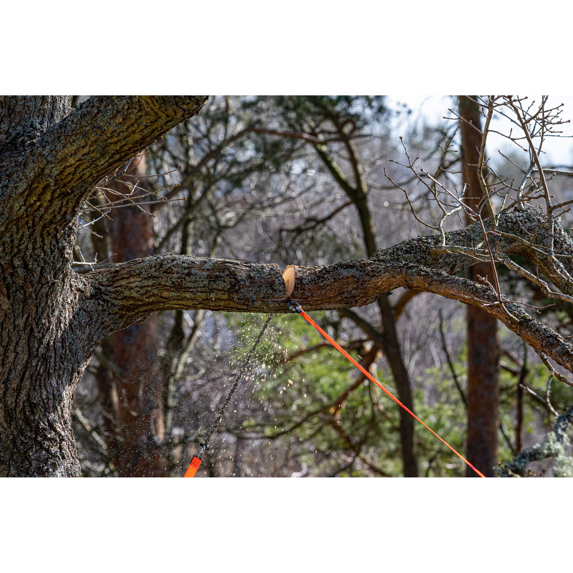 Nordic Pocket Saw ARBORIST VERSION 2 - Säge