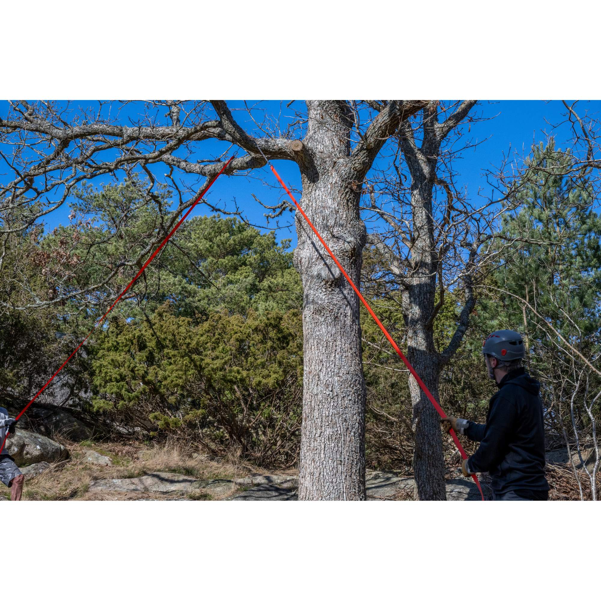 Nordic Pocket Saw ARBORIST VERSION 2 - Säge
