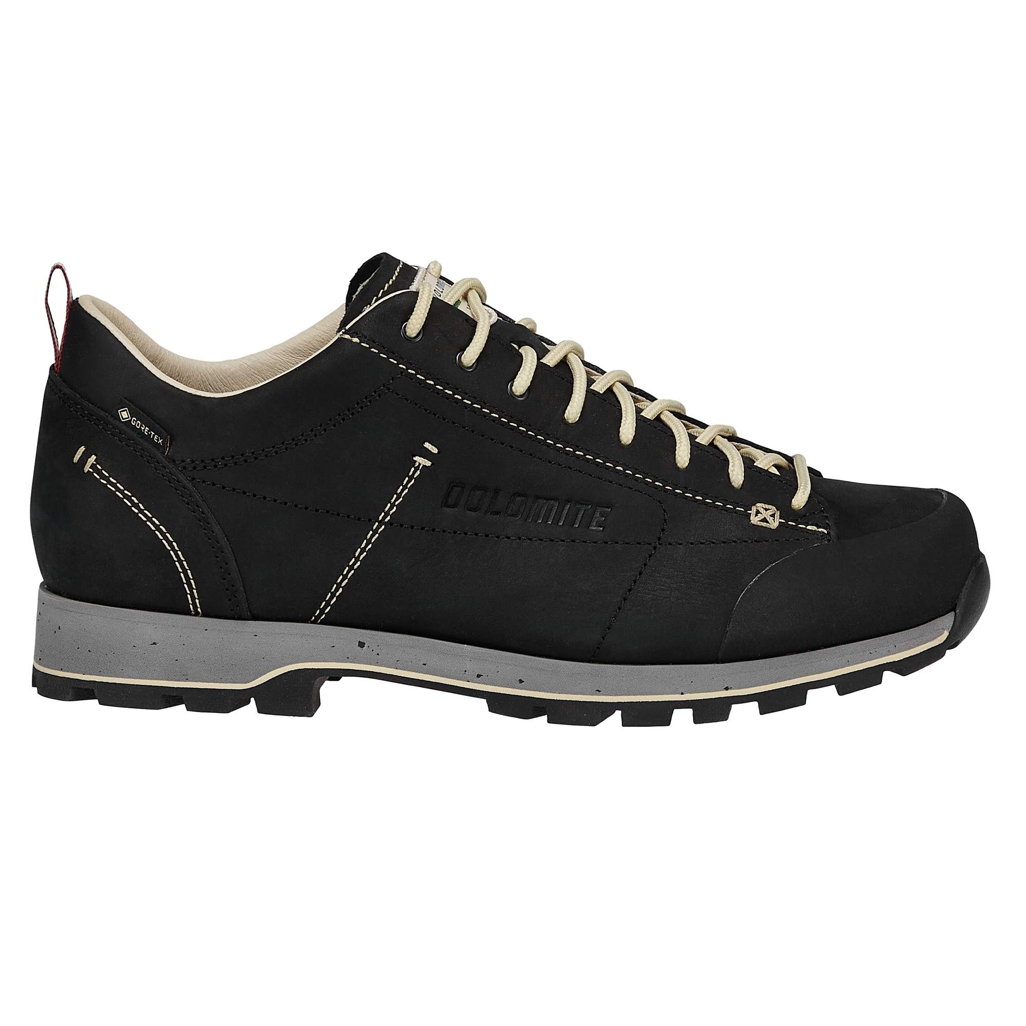 Dolomite DOL SHOE 54 LOW FG EVO GTX Unisex - Freizeitschuhe
