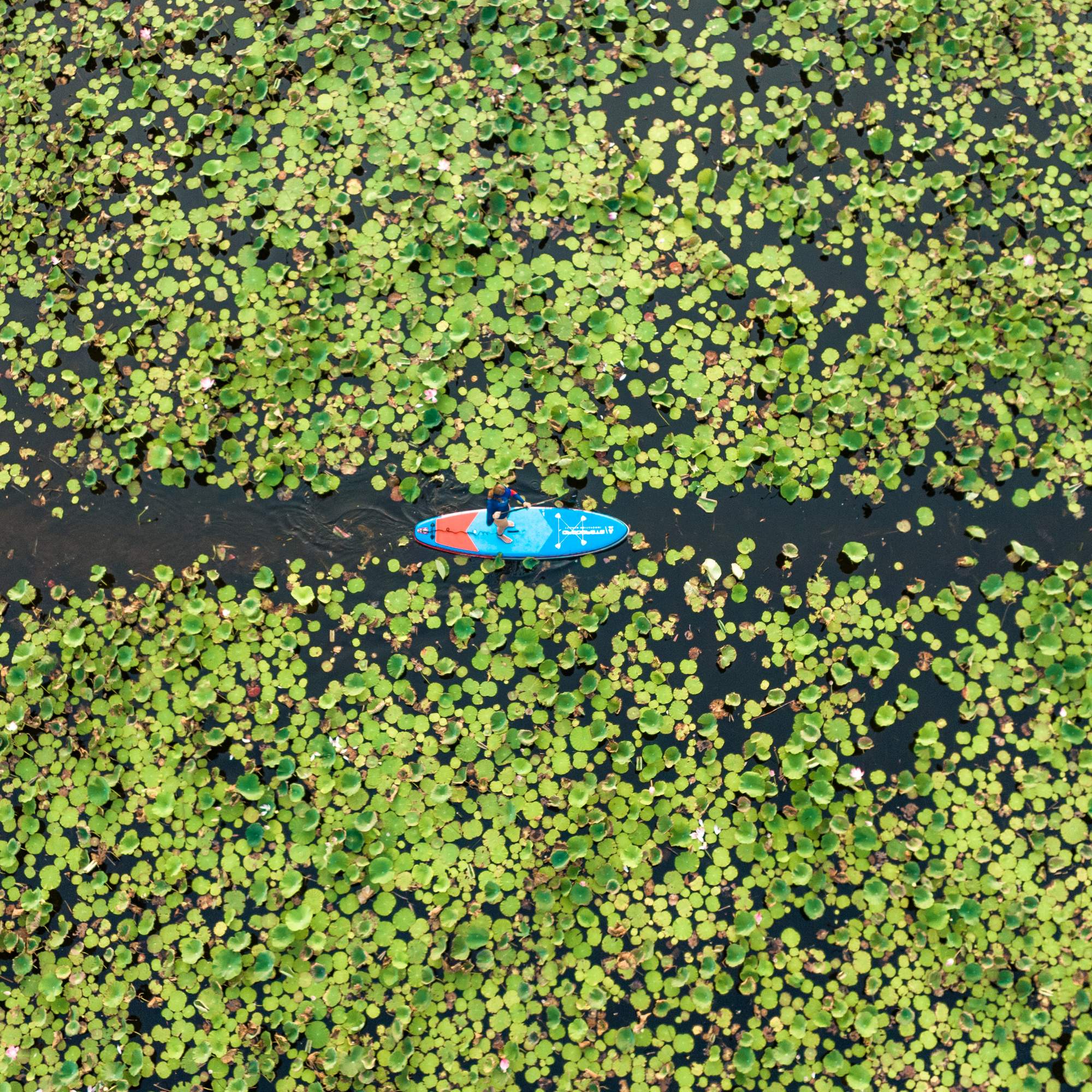 Starboard IGO WITH PADDLE - SUP Board Starboard IGO WITH PADDLE - SUP Board