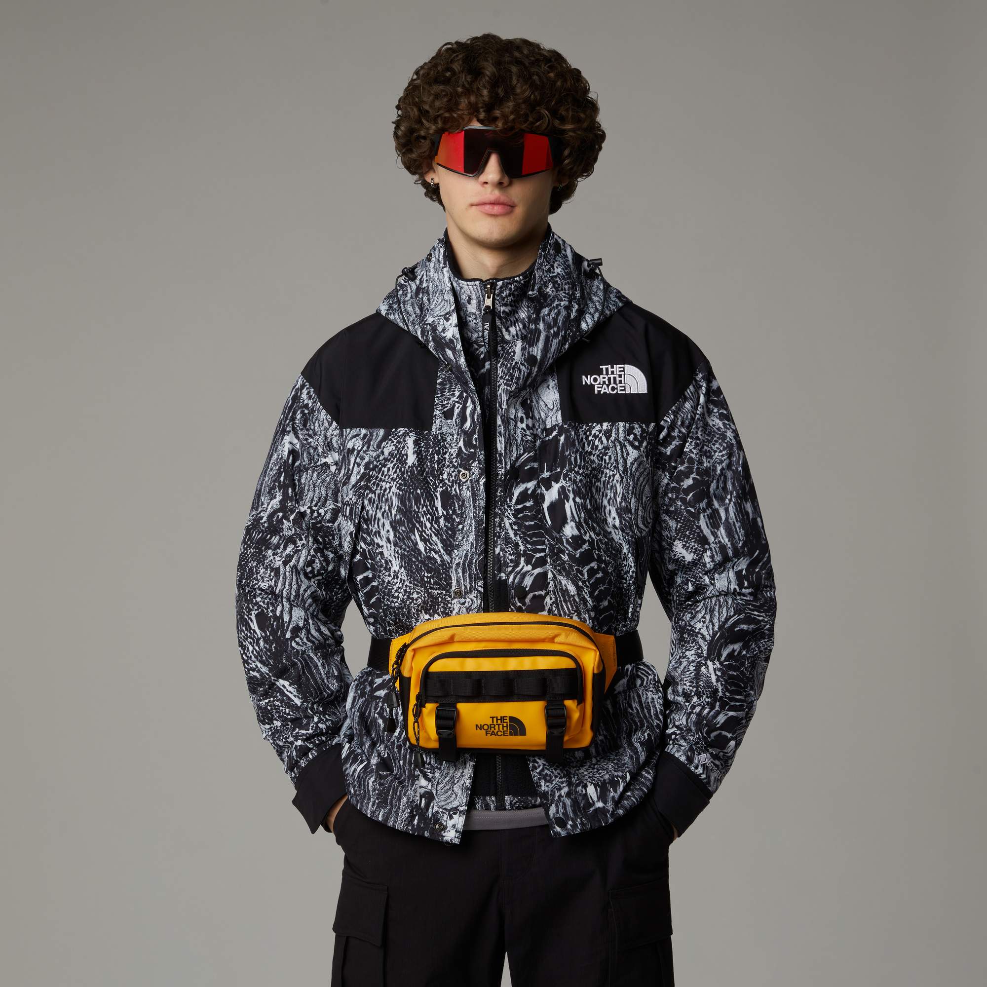 The North Face BASE CAMP LUMBAR - Hüfttasche