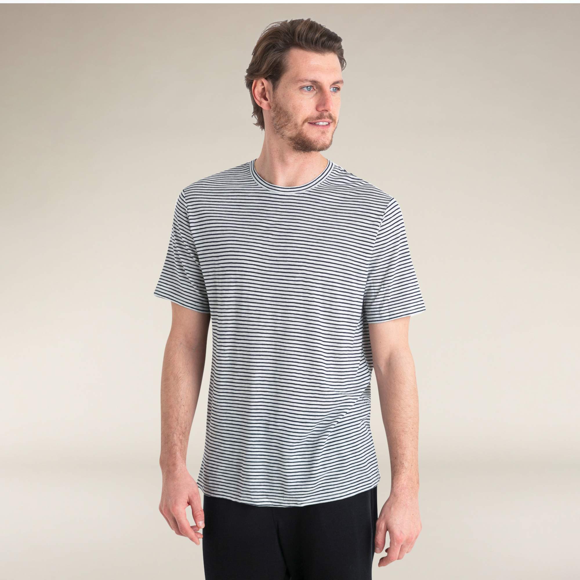 Icebreaker M MERINO LINEN SS TEE STRIPE Herren - Funktionsshirt