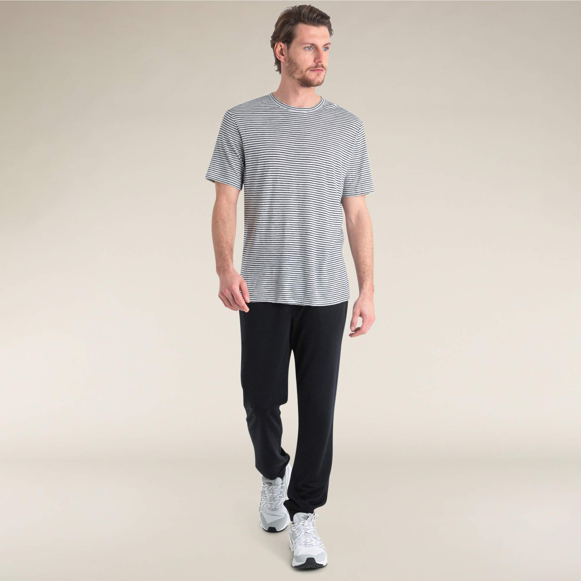 Icebreaker M MERINO LINEN SS TEE STRIPE Herren - Funktionsshirt