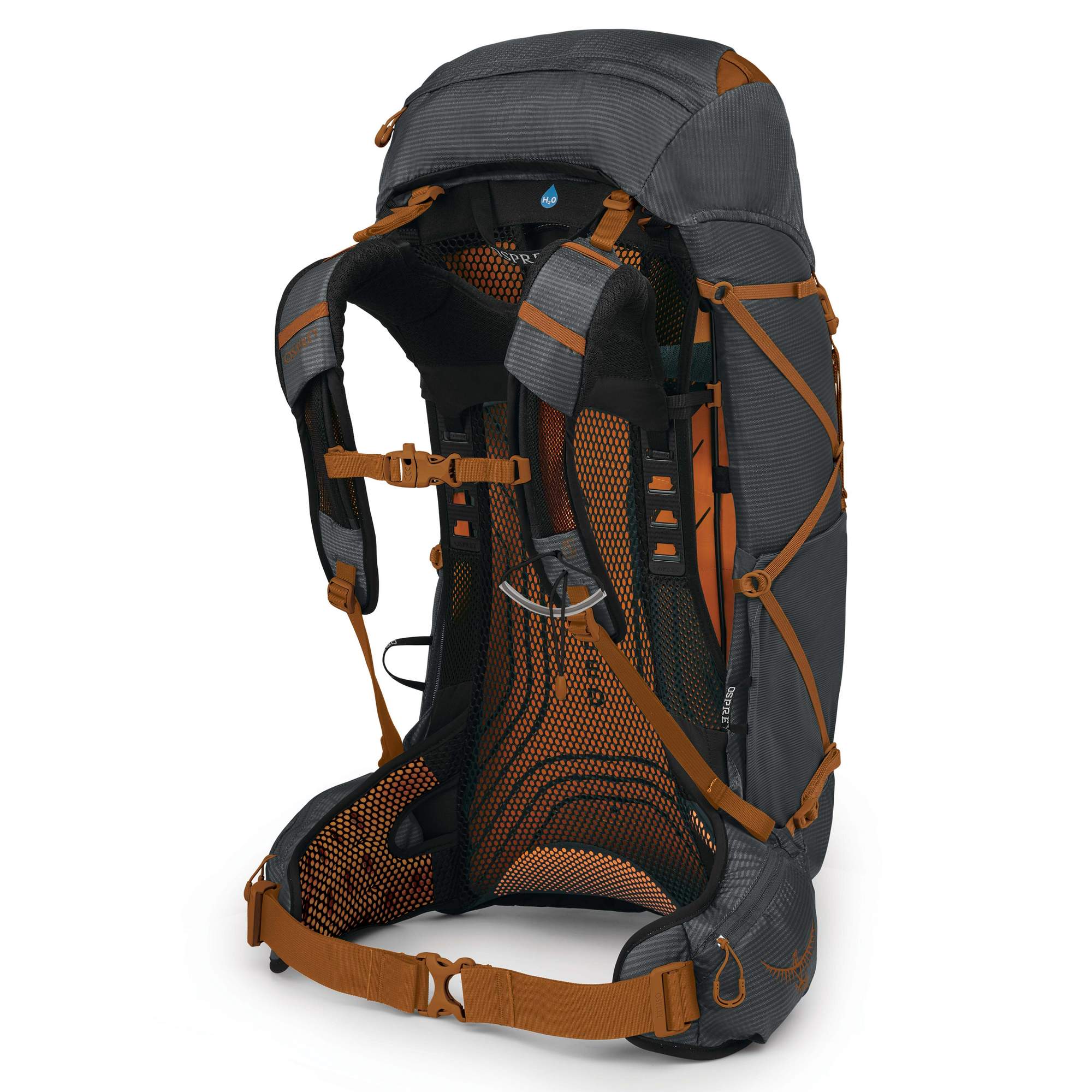 Osprey EXOS 38 Herren - Tourenrucksack