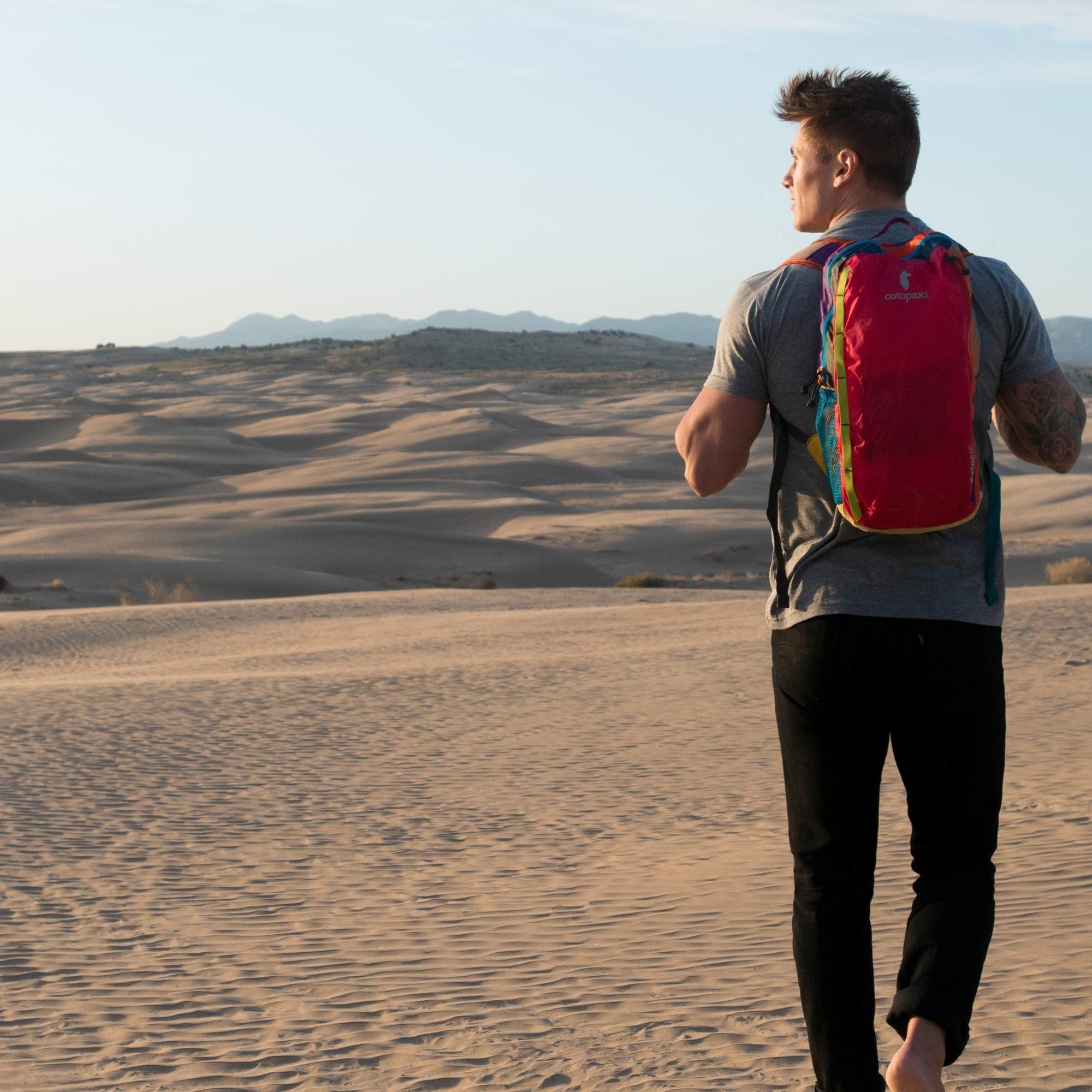 Cotopaxi BATAC 16L BACKPACK - Tagesrucksack