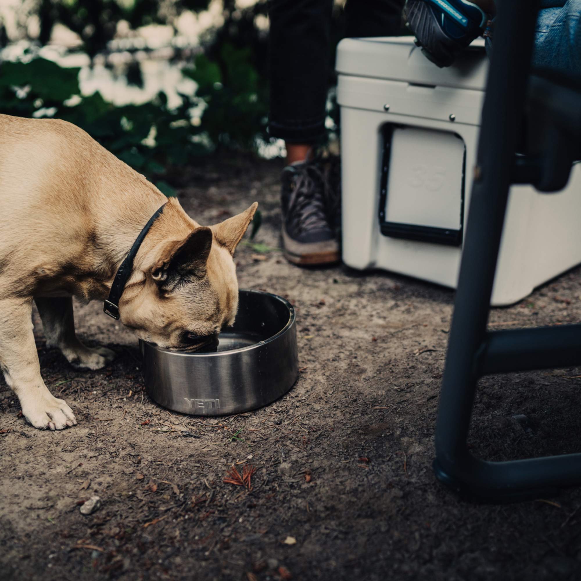 Yeti Coolers BOOMER DOG BOWL - Hundezubehör