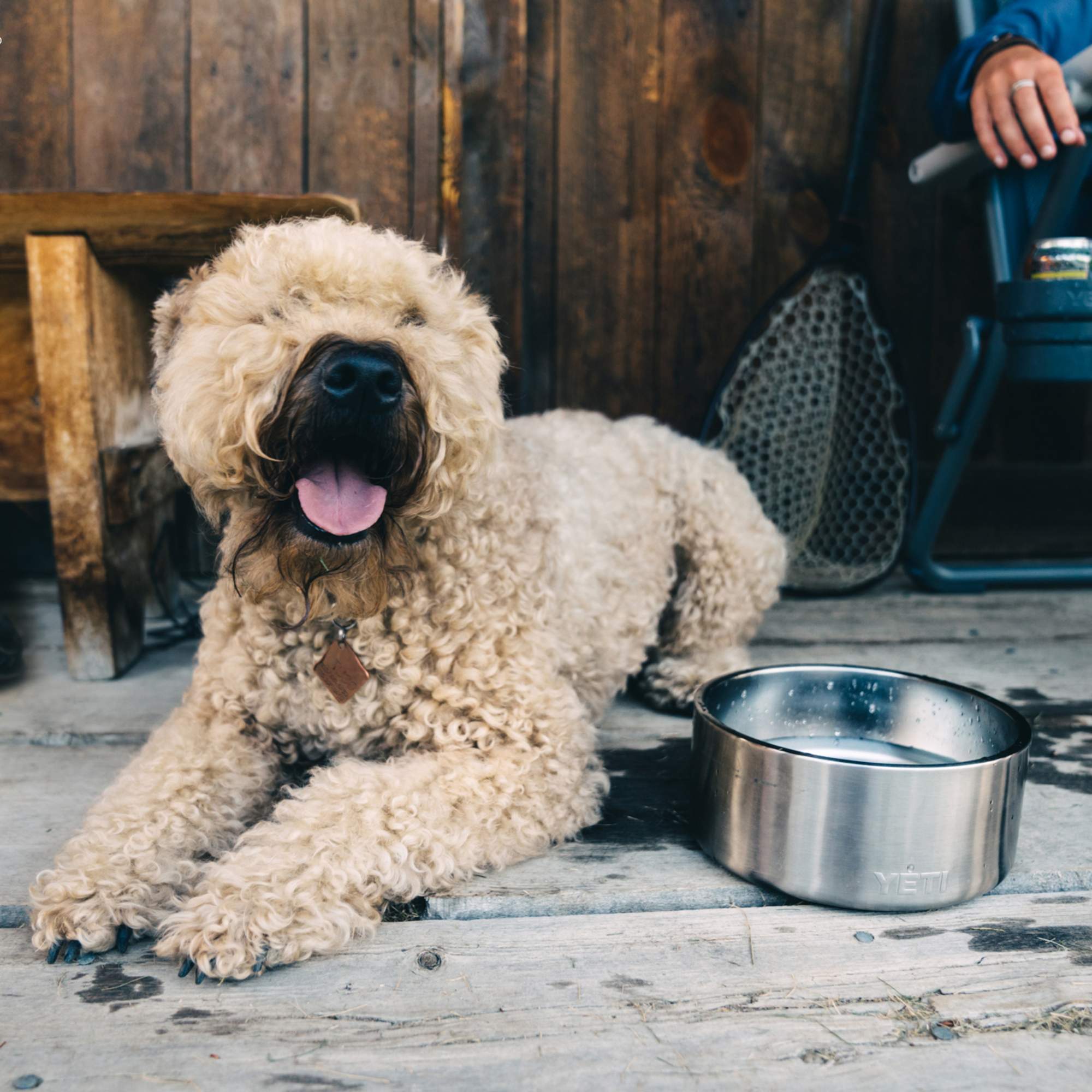 Yeti Coolers BOOMER DOG BOWL - Hundezubehör
