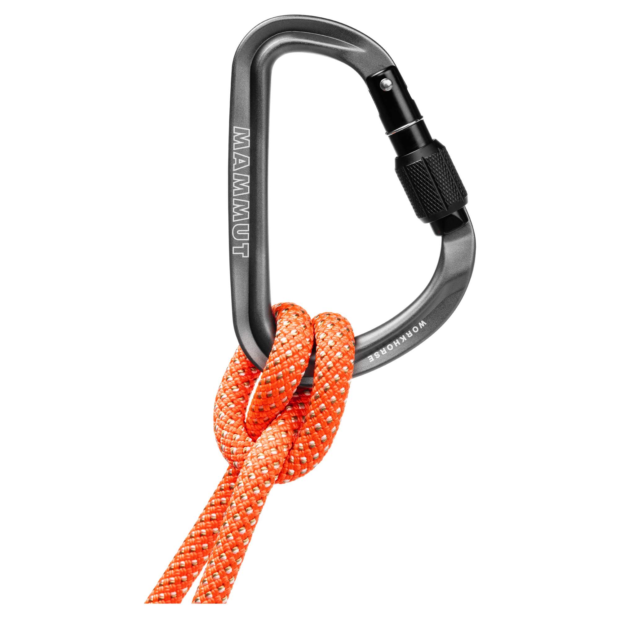 Mammut WORKHORSE HMS SCREWGATE CARABINER - Karabiner