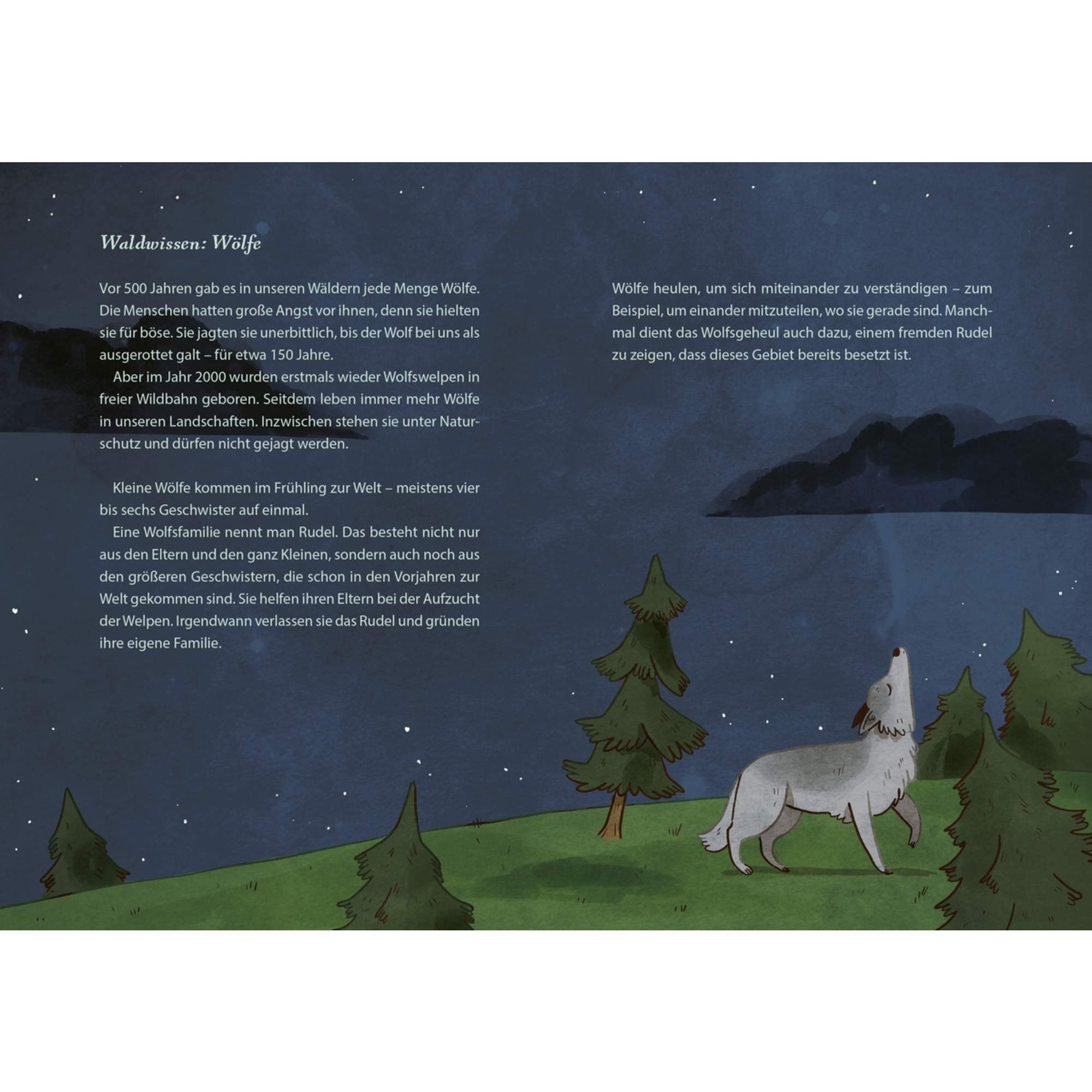 RUMMENIE, ANNE: DIE SCHÖNSTEN GESCHICHTEN AUS DEM WALD - Kinderbuch