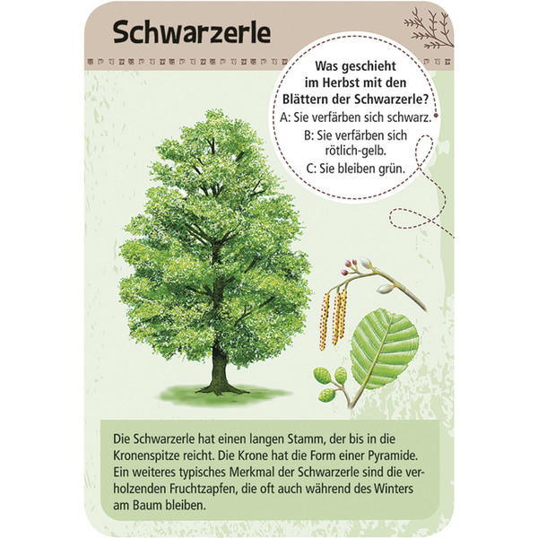 Moses Verlag EXPEDITION NATUR 50 HEIMISCHE BÄUME - Reisespiel Ansicht 2