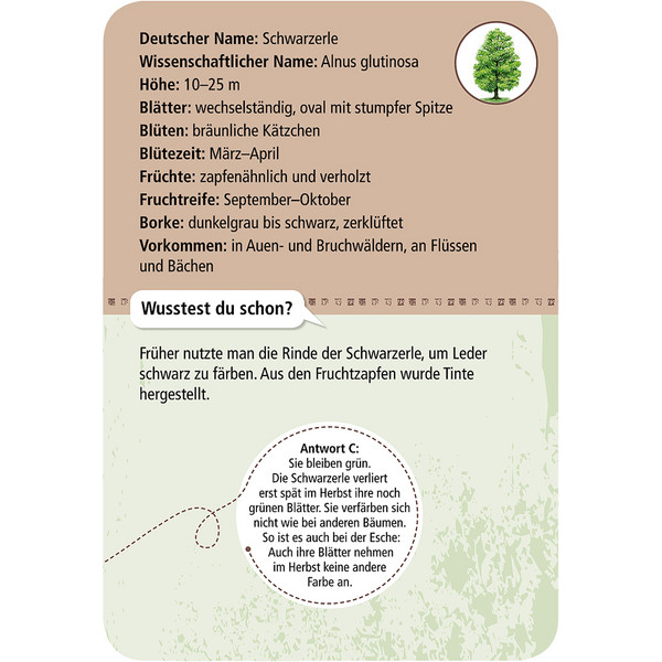 Moses Verlag EXPEDITION NATUR 50 HEIMISCHE BÄUME - Reisespiel Ansicht 3