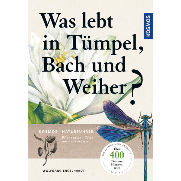 WAS LEBT IN TÜMPEL, BACH UND WEIHER? - Ratgeber Ansicht 1