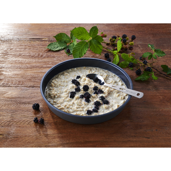 Trek'N EAT PROTEIN PORRIDGE - Outdoor Essen Ansicht 2
