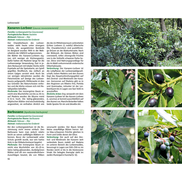 MADEIRAS FLORA - Ratgeber Ansicht 5