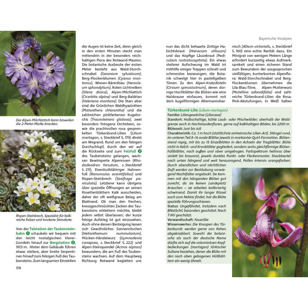 BLUMENWANDERUNGEN BAYERISCHE ALPEN - Wanderführer Ansicht 4