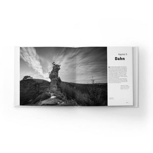 DIE PFALZ - DAS BUCH Ansicht 9