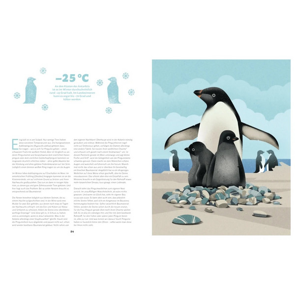 ZU HAUSE BEI DEN WILDEN TIEREN - Kinderbuch Ansicht 4
