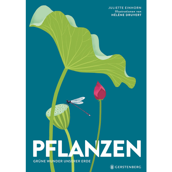 - Kinderbuch