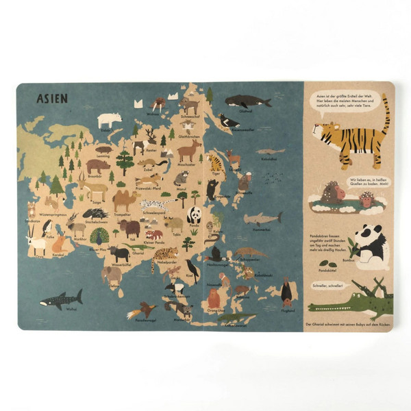 MEIN GROßER TIERATLAS - Kinderbuch Ansicht 3