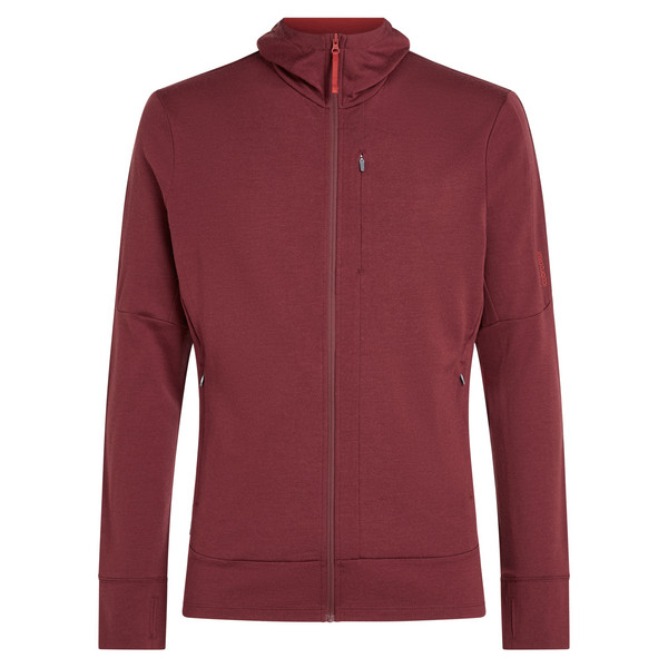 MEN MERINO 260 QUANTUM LS ZIP HOODIE Herren - Wolljacke-PORT/AGATE
